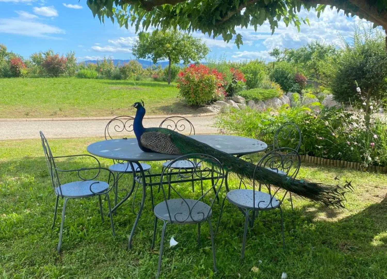 Le Domaine D'Adrien Apartment Larnage 0*,